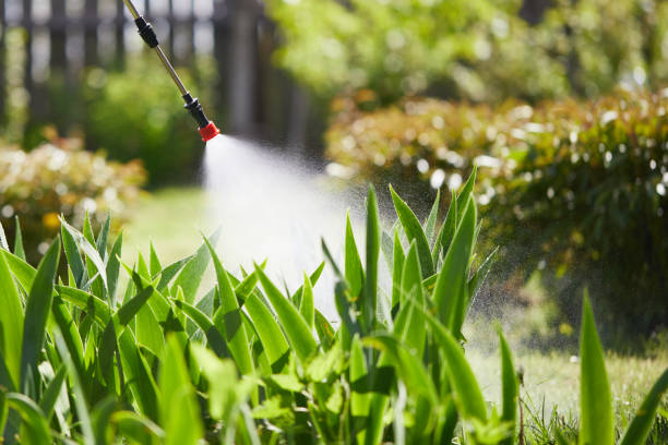 Tamper-Resistant Bait Stations for Rodents in Darlington