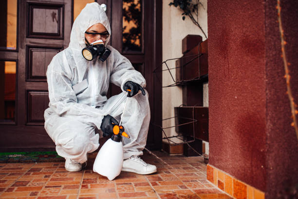 Attic and Crawl Space Rodent Treatment in Darlington