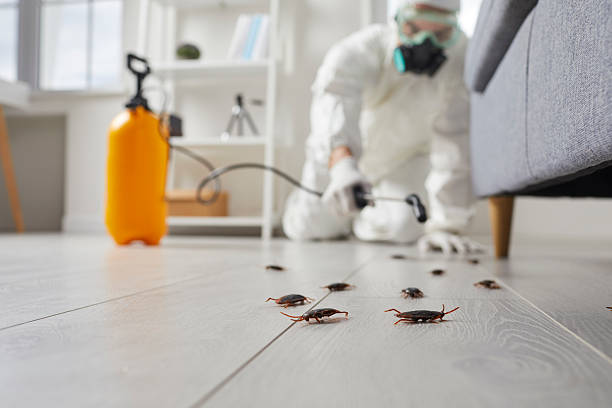 Commercial Rodent Management in Darlington